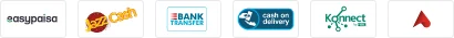 Payment methods accepted by DealStore